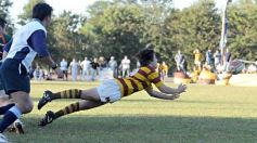 Foto de la galería: Tacurú 10-Lomas 32