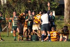 Foto de la galería: Tacurú 10-Lomas 32