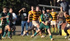 Foto de la galería: Tacurú 10-Lomas 32