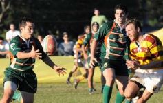 Foto de la galería: Tacurú 10-Lomas 32