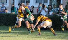 Foto de la galería: Tacurú 10-Lomas 32