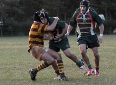 Foto de la galería: Tacurú 10-Lomas 32