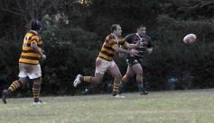 Foto de la galería: Tacurú 10-Lomas 32