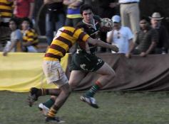 Foto de la galería: Tacurú 10-Lomas 32