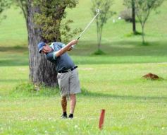 Foto de la galería: Copa Diario El Territorio