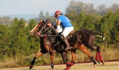 Foto de la galería: Regimiento 10-Villa Corina 6