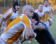 Foto de la galería: Capri 11-Curne 12