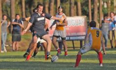 Foto de la galería: Capri 11-Curne 12