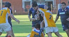 Foto de la galería: Capri 11-Curne 12