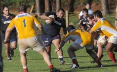 Foto de la galería: Capri 11-Curne 12