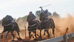 Foto de la galería: Refusilo el Ganador¡¡¡