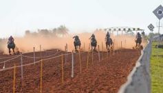 Foto de la galería: Refusilo el Ganador¡¡¡