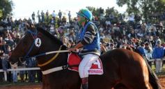 Foto de la galería: Refusilo el Ganador¡¡¡