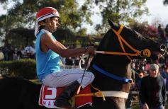 Foto de la galería: Refusilo el Ganador¡¡¡