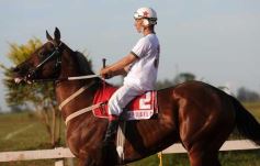 Foto de la galería: Refusilo el Ganador¡¡¡