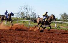 Foto de la galería: Refusilo el Ganador¡¡¡