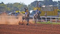 Foto de la galería: Refusilo el Ganador¡¡¡