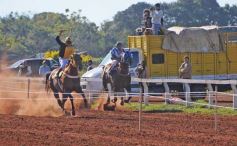 Foto de la galería: Refusilo el Ganador¡¡¡