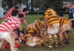 Foto de la galería: Tacurú 14-Regatas 22