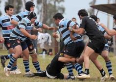 Foto de la galería: Capri 22-Taraguy 13