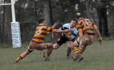 Foto de la galería: Tacuru 25-Capri 30