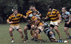 Foto de la galería: Tacuru 25-Capri 30