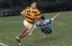 Foto de la galería: Tacuru 25-Capri 30