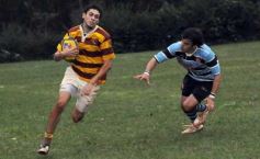 Foto de la galería: Tacuru 25-Capri 30