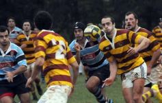 Foto de la galería: Tacuru 25-Capri 30