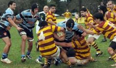 Foto de la galería: Tacuru 25-Capri 30