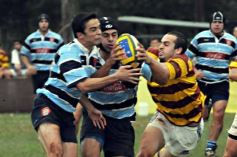 Foto de la galería: Tacuru 25-Capri 30