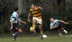 Foto de la galería: Tacuru 25-Capri 30