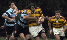 Foto de la galería: Tacuru 25-Capri 30