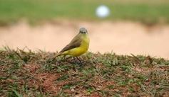 Foto de la galería: Día  de  clasificación¡¡¡