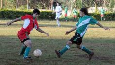 Foto de la galería: La Promoción - Laurel 1-Brown 6