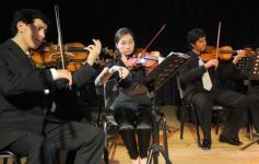 Foto de la galería: ARS-Barroca