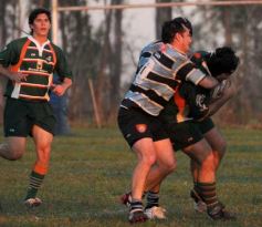 Foto de la galería: ARS-Barroca