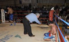 Foto de la galería: La Cobra Andino-Gustavo Moreira