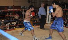 Foto de la galería: La Cobra Andino-Gustavo Moreira