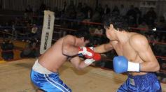 Foto de la galería: La Cobra Andino-Gustavo Moreira