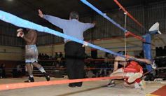 Foto de la galería: La Cobra Andino-Gustavo Moreira