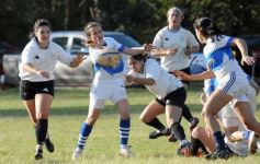 Foto de la galería: Sixty Recistencia-Ceibo de Uruguay