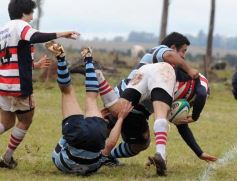 Foto de la galería: Capri 11-Centro de Cazadores 15