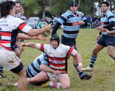 Foto de la galería: Capri 11-Centro de Cazadores 15