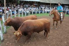 Foto de la galería: Remate del Pro a Pro