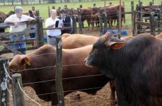 Foto de la galería: Remate del Pro a Pro