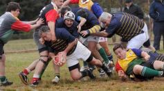 Foto de la galería: Los Tucanes-Vella Vista de Recisatencia