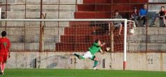 Foto de la galería: Guaraní 1-Brown 3