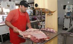 Foto de la galería: Trabajos, Paseos y Cumpleaños¡¡¡