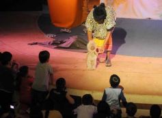 Foto de la galería: Festival Int. de Titeres Kruvikas en Posadas